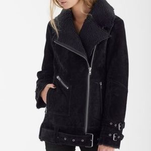 Long Tall Sally Curatd Shearling Aviator Jacket